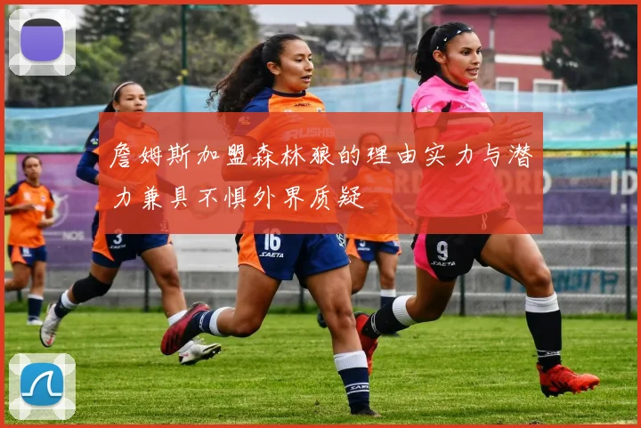 詹姆斯加盟森林狼的理由实力与潜力兼具不惧外界质疑