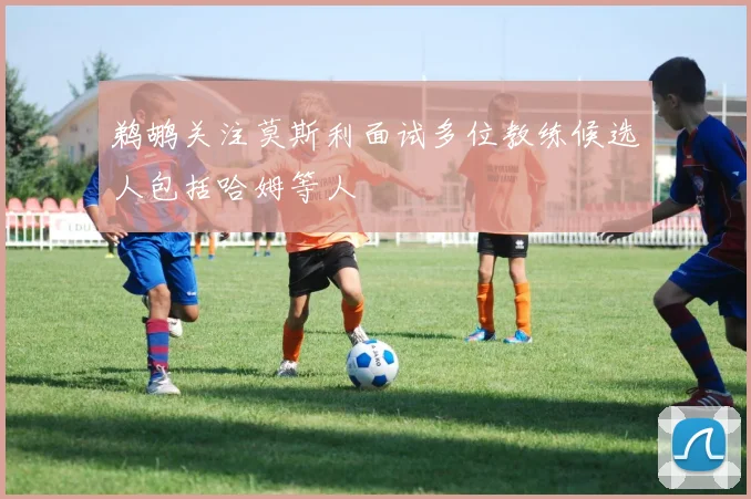 鹈鹕关注莫斯利面试多位教练候选人包括哈姆等人