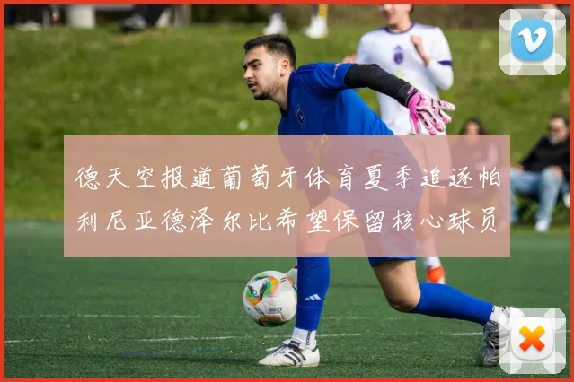 德天空报道葡萄牙体育夏季追逐帕利尼亚德泽尔比希望保留核心球员